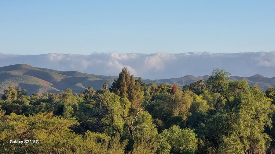 5 Bedroom Property for Sale in Oudtshoorn South Western Cape